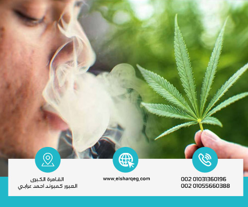 أعراض إدمان الماريجوانا