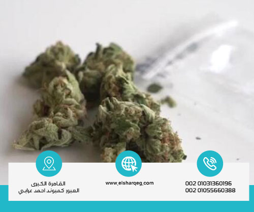 لماذا يُعد الفودو من أخطر أنواع المخدرات؟