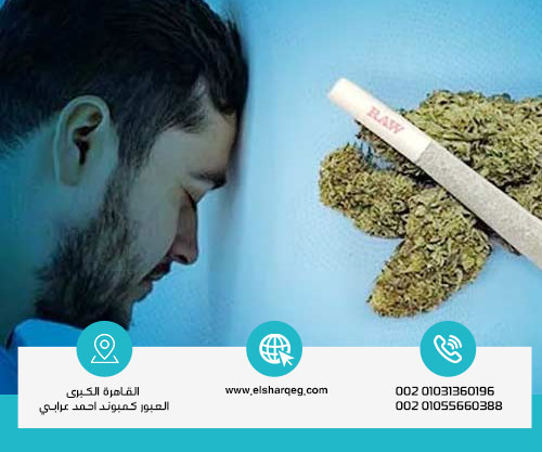 ما هي أضرار إدمان البانجو؟