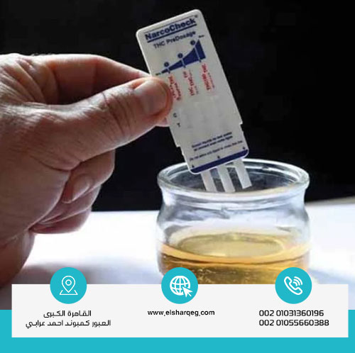 مدة بقاء الابتريل في الجسم؟