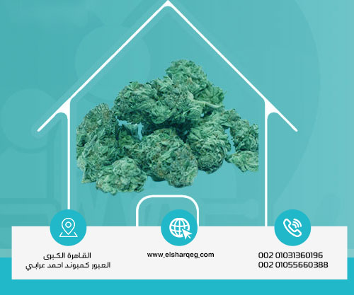 هل يمكن علاج إدمان الفودو في المنزل؟