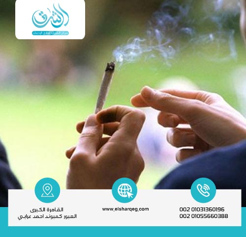 أسباب انتشار تعاطي الحشيش بين الشباب