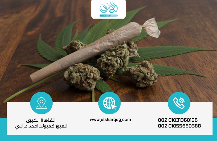 الحشيش وأضراره وأعراض إدمانه وطرق علاجه بسريه تامه في مركز الشرق