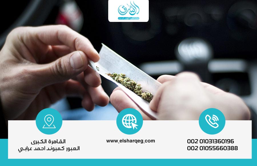 تأثير الحشيش أو الماريجوانا ما لا يخبرك به المدمنون - مركز الشرق