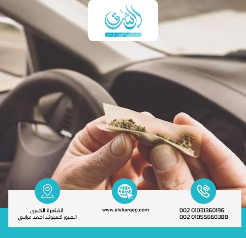 ما هو الحشيش وما تأثيره على الدماغ؟