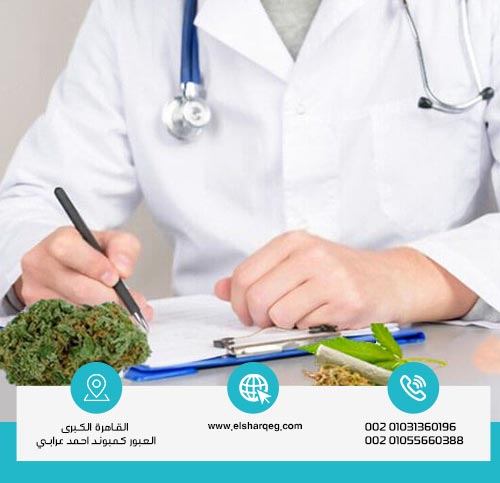 ما هو الفرق بين الحشيش والماريجوانا في التأثير؟