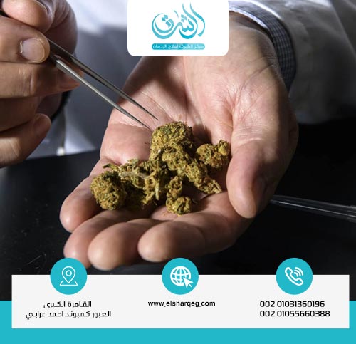 ما هي أسهل طريقة للإقلاع عن الحشيش؟