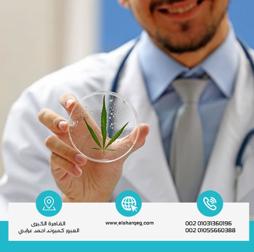 متى يعود الجسم لطبيعته بعد علاج إدمان الحشيش؟