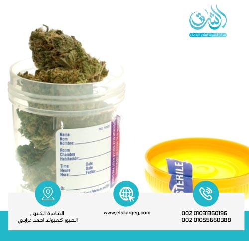 مدة بقاء الحشيش في الجسم