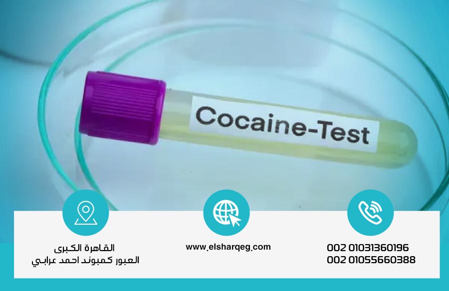 مدة بقاء الكوكايين بالجسم وكيفية خروجه