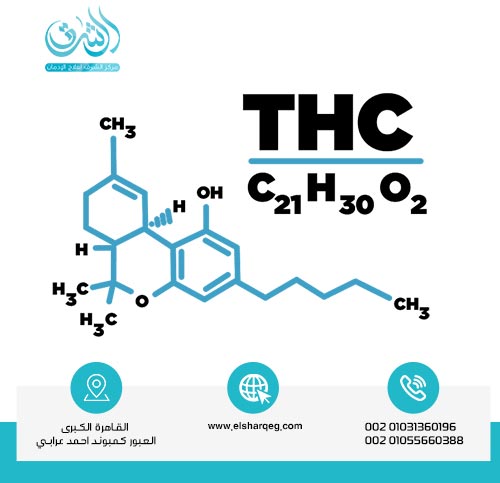 التركيب الكيميائي للحشيش