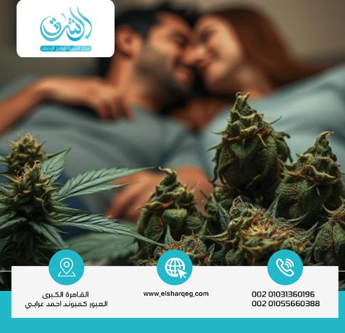 العلاقة بين الماريجوانا والجنس؟