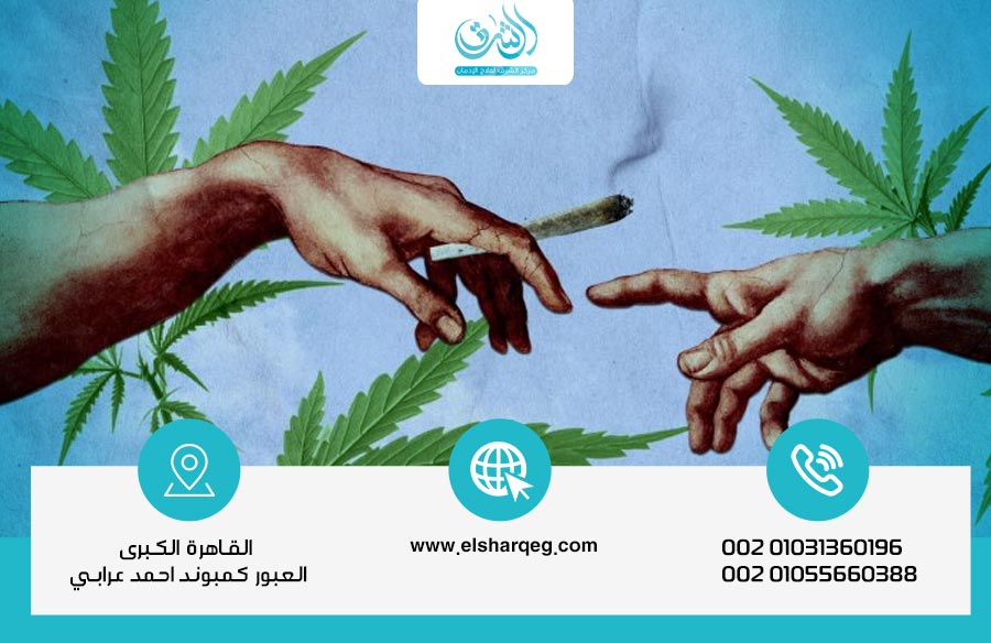 الماريجوانا والجنس 3 خرافات منتشرة عنهم تحير الشباب