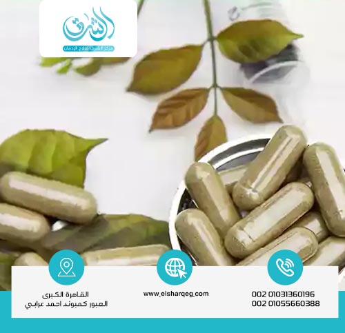 خرافة علاج إدمان المخدرات بالأعشاب؟