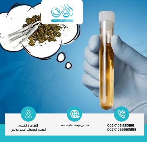 العوامل المؤثرة على مدة بقاء الحشيش في البول