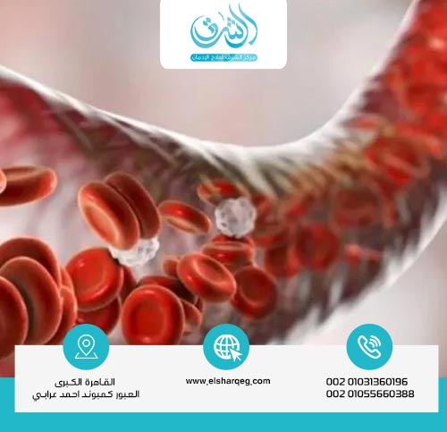 كيف يتخلص الجسم من المخدرات؟