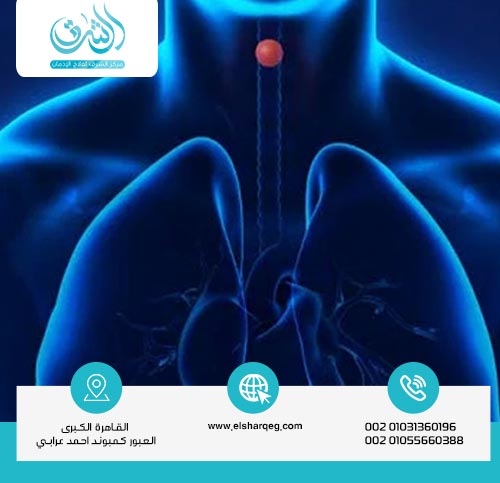 كيف يعمل الترامادول في الجسم؟