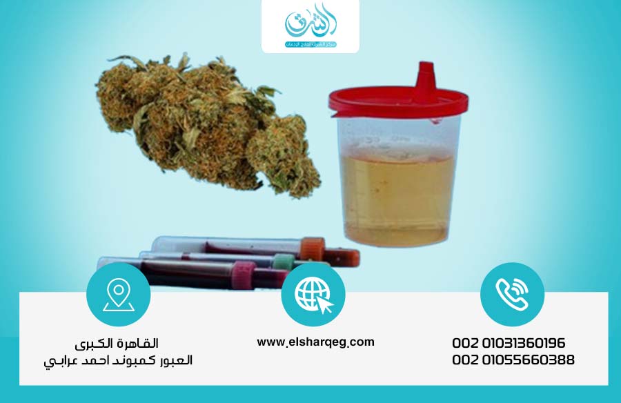 مدة بقاء مخدر الحشيش في الدم والبول