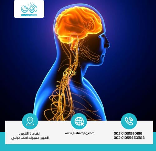 أضرار الشبو على الجهاز العصبي