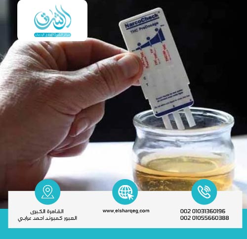 كم مدة بقاء المخدرات في البول لغير المدمن