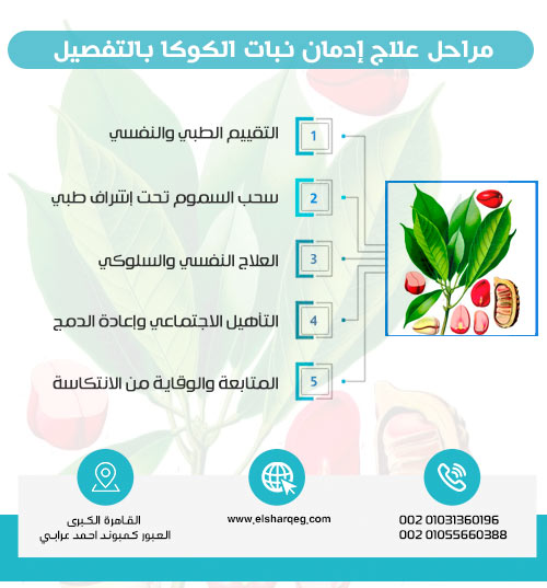 مراحل علاج إدمان نبات الكوكا بالتفصيل