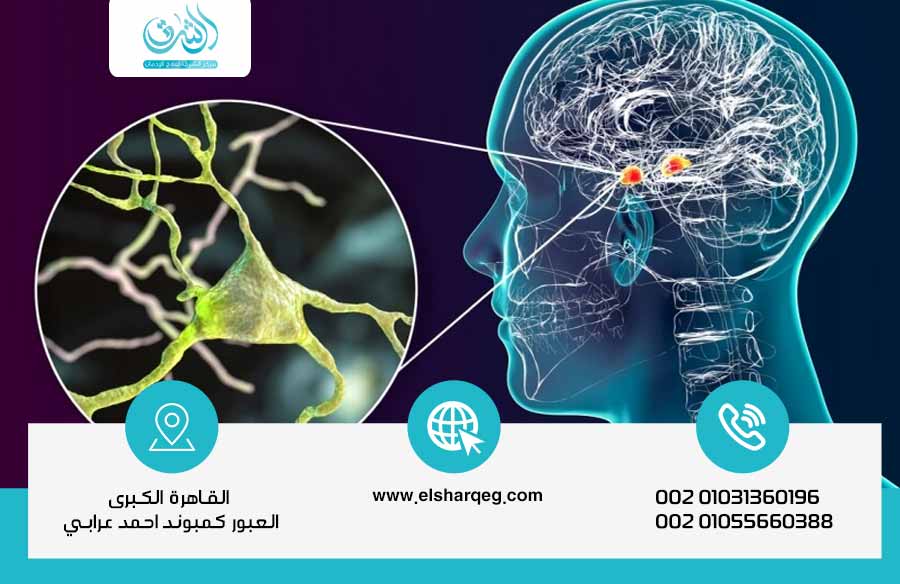 تأثير الإدمان على وظائف الجهاز العصبي والمخ وكيفية علاج إدمان المخدرات