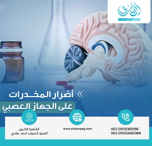 تأثير المخدرات على الجهاز العصبي والموت