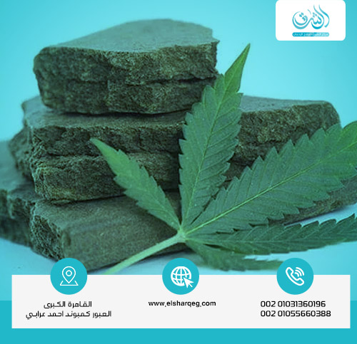 شكل الحشيش ورائحته