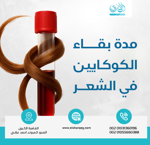 مدة بقاء الكوكايين في الشعر