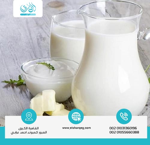 هل اللبن يبطل مفعول الكبتاجون