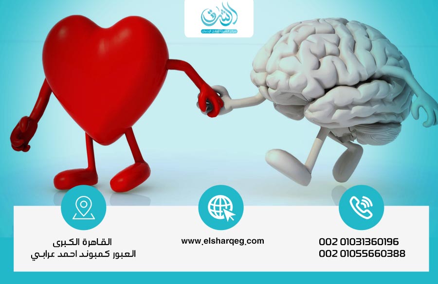 الذكاء العاطفي وتأثيره الحقيقي على نجاحك في العمل والعلاقات