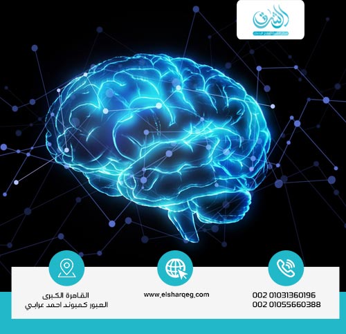 كيف تؤثر المخدرات على إفراز الدوبامين في المخ؟