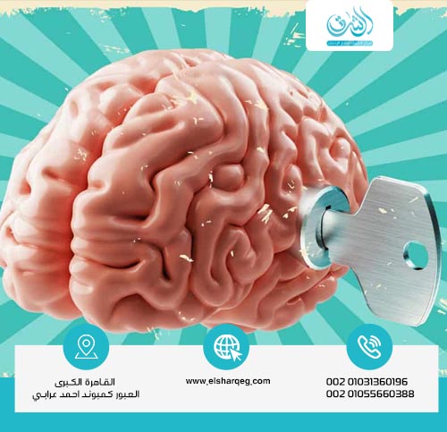 كيف يساعد علاج الإدمان على إعادة توازن الدوبامين في المخ؟