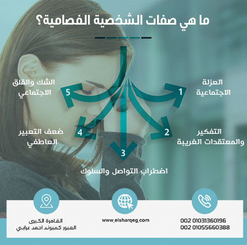 ما هي صفات الشخصية الفصامية؟