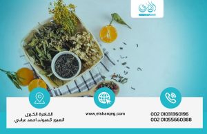 متى يصبح علاج الوسواس القهري بالأعشاب خطرًا على المريض؟