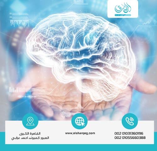 كيف يؤثر على الدماغ والجهاز العصبي؟